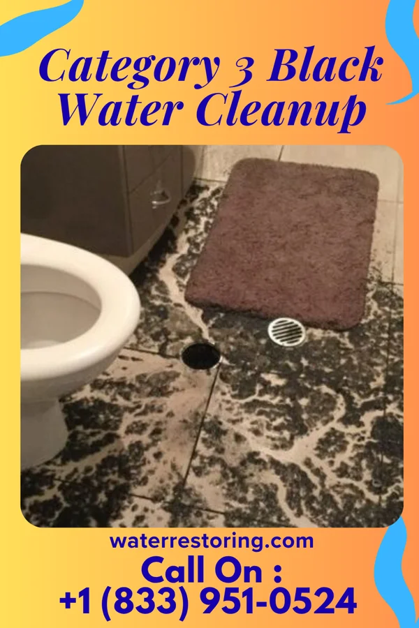 Category 3 Black Water Cleanup in Benson, AZ