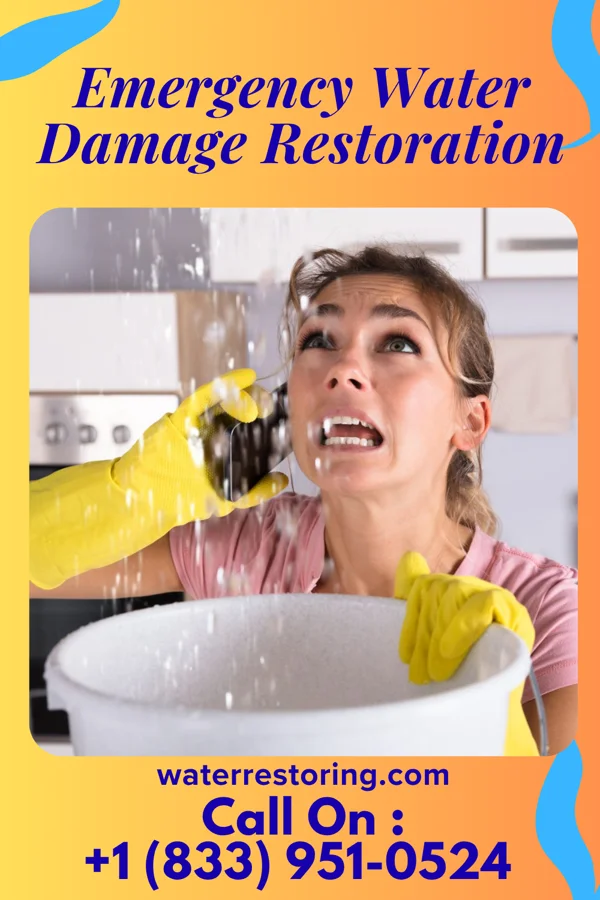 Emergency Water Damage Restoration in Benson, AZ