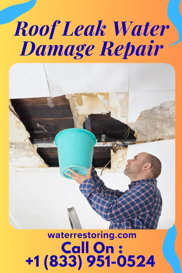 Roof Leak Water Damage Repair in Benson, AZ